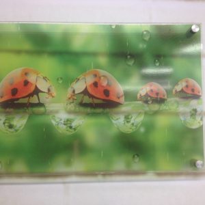 CARTELERAS ACRÍLICAS